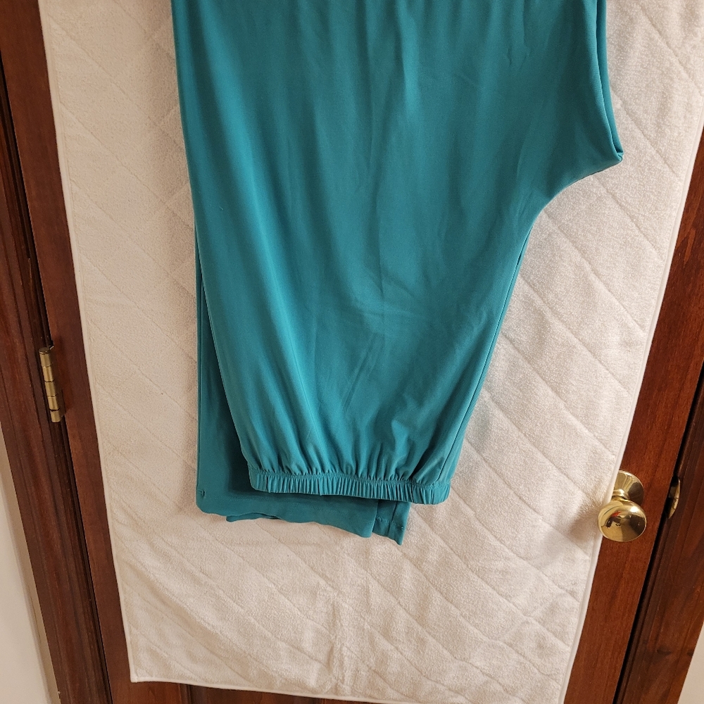 Color is Teal, not blue, more green. Csc studio 1x elastic waist
